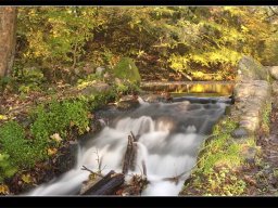 IMGP9062-Moelledammen-ved-Niels-Bugges-kro